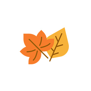 saison-automne saison-automne
